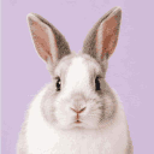 a rabbit photo turned into a pixel avatar